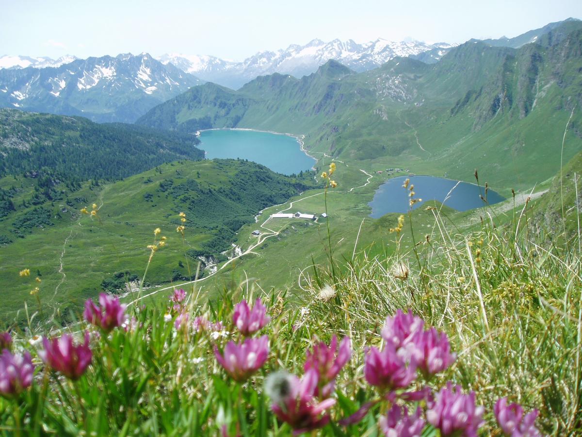 B&B Gottardo 아이롤로 외부 사진