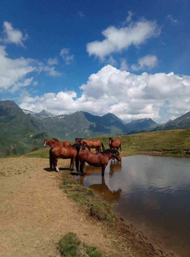 B&B Gottardo 아이롤로 외부 사진