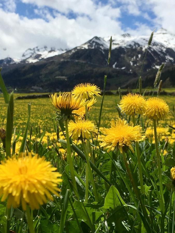 B&B Gottardo 아이롤로 외부 사진