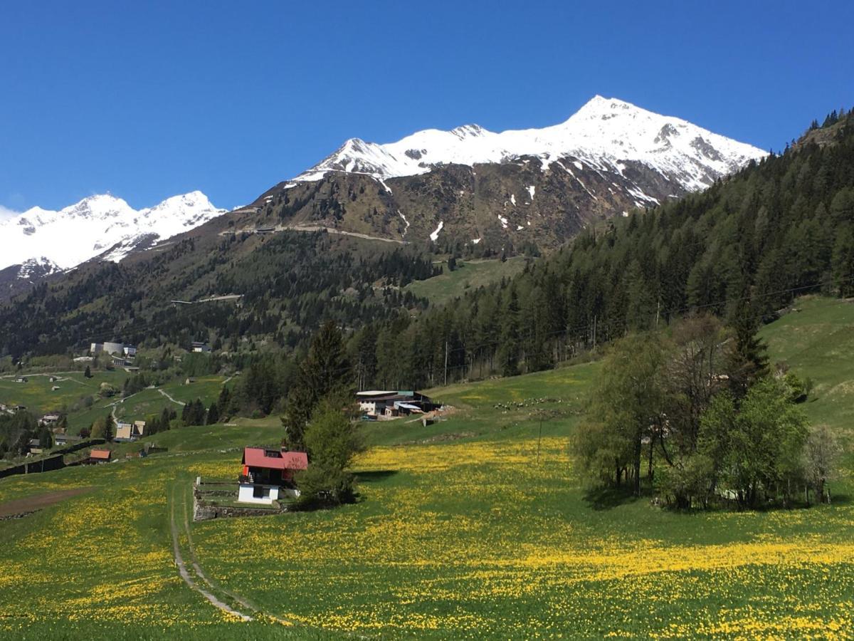 B&B Gottardo 아이롤로 외부 사진